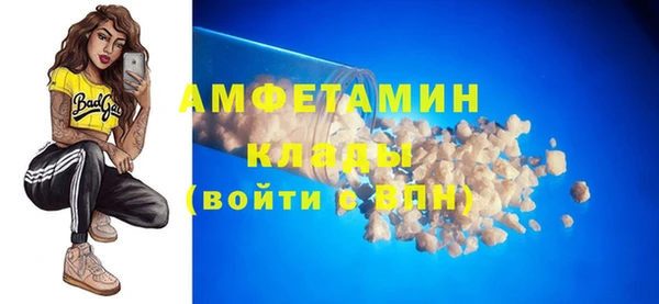 хмурый Алексин