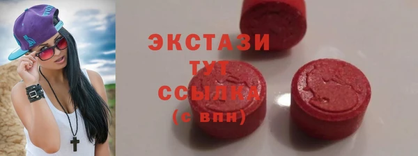 хмурый Алексин