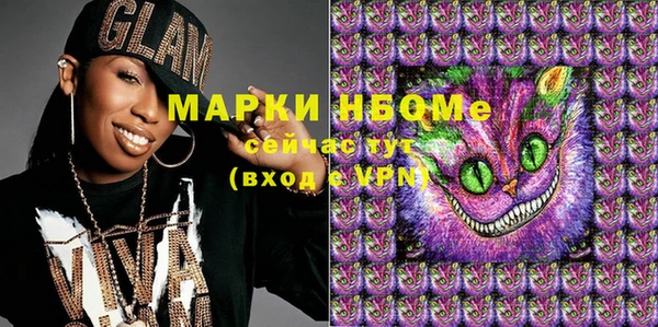 хмурый Алексин