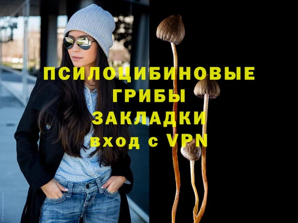 хмурый Алексин