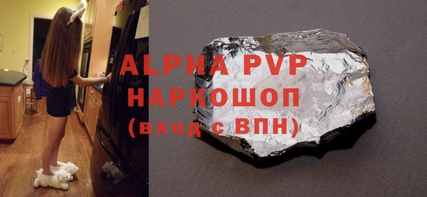 хмурый Алексин