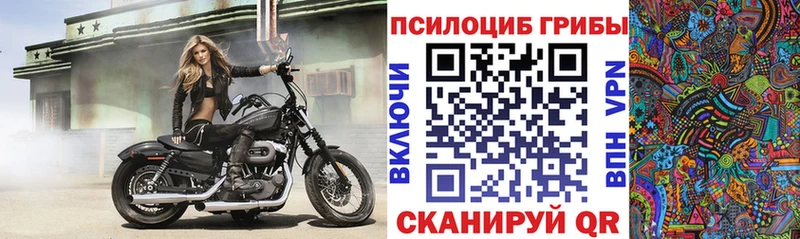Галлюциногенные грибы Psilocybine cubensis  Нижний Ломов 